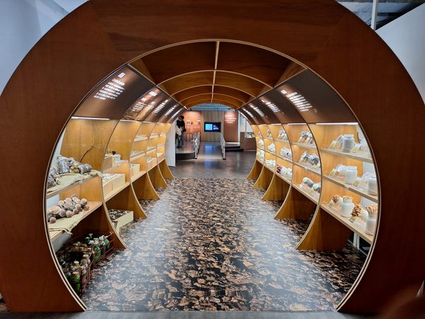 Museum Jamur Wufeng di Kota Taichung, Taiwan