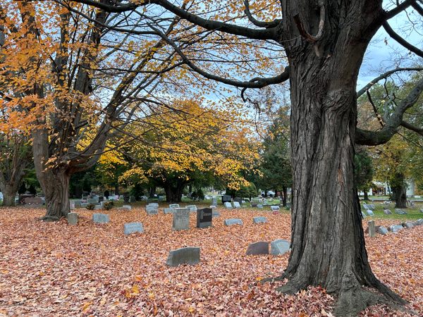 Pemakaman Colestown di Cherry Hill, New Jersey