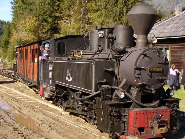 Vaser Valley Forestry Railway di Vișeu de Sus, Rumania