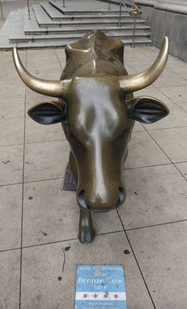 Chicago Bronze Cow di Chicago, Illinois