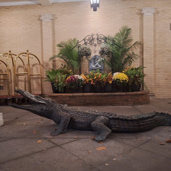 Jefferson Hotel Gators di Richmond, Virginia