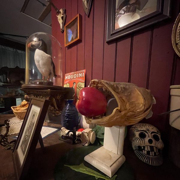 Museum Pecas Amerika Pexcho di Augusta, Georgia
